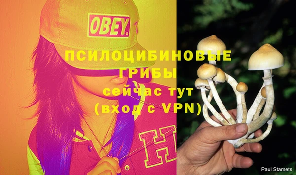 бутират Алексеевка