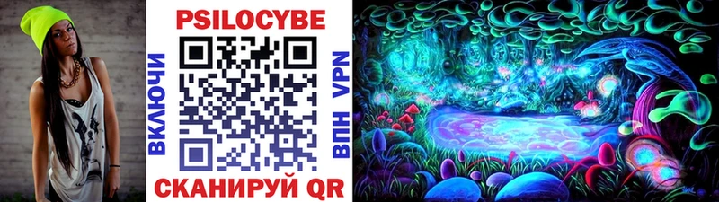 Псилоцибиновые грибы Psilocybine cubensis  купить наркотик  Завитинск 